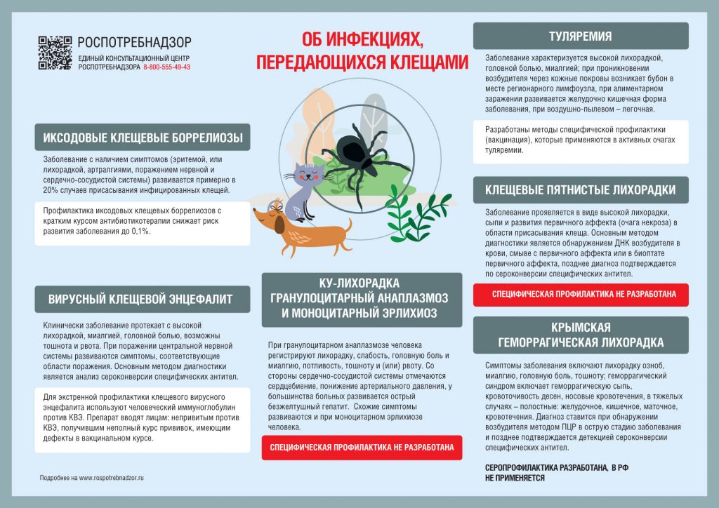 Клещи.jpg Клещи.jpg